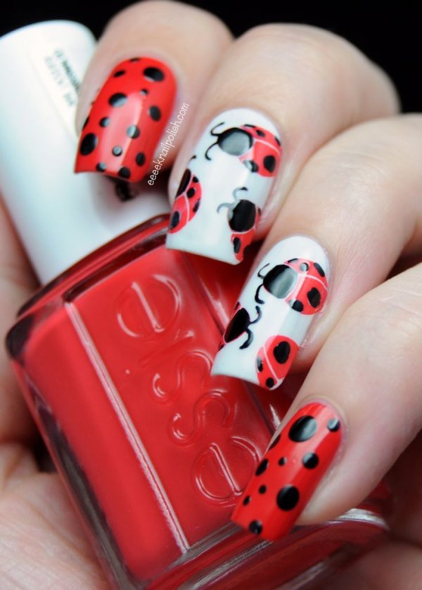 Traditional Ladybugs