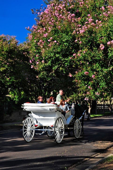 Natchez, Mississippi