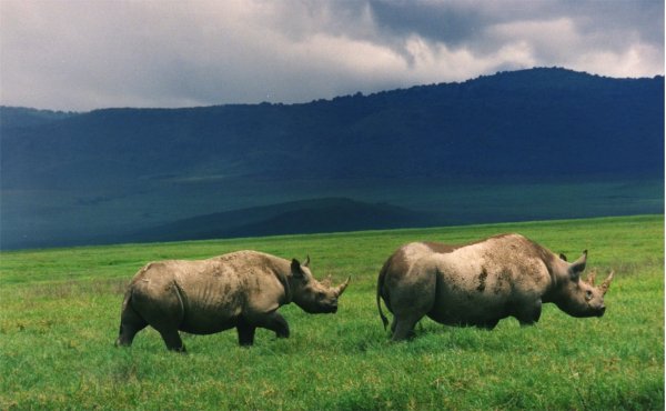 Ngorongoro Conservation Area, Tanzania