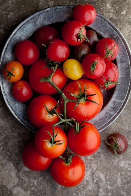 Tomatoes