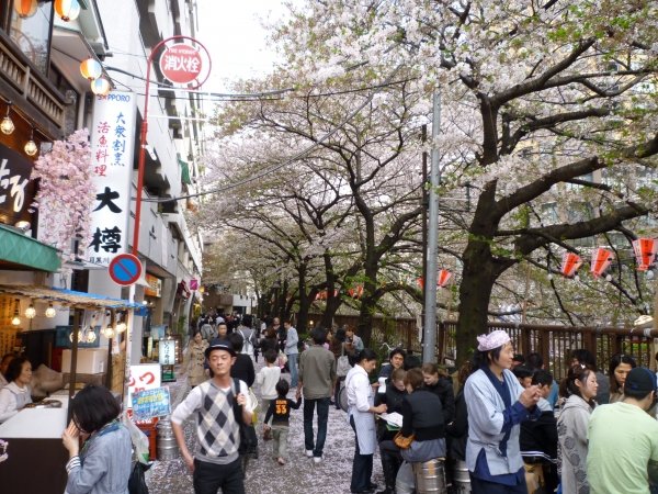 Naka-Meguro, Tokyo, Japan