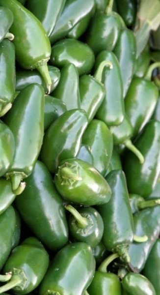 Jalapeno Peppers