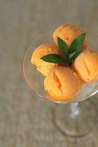 Apricot Sorbet