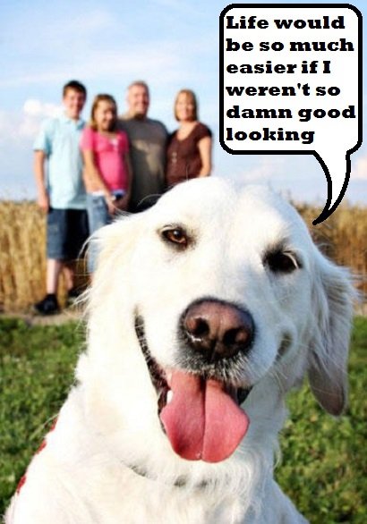 White Dog Does a Photo Bomb