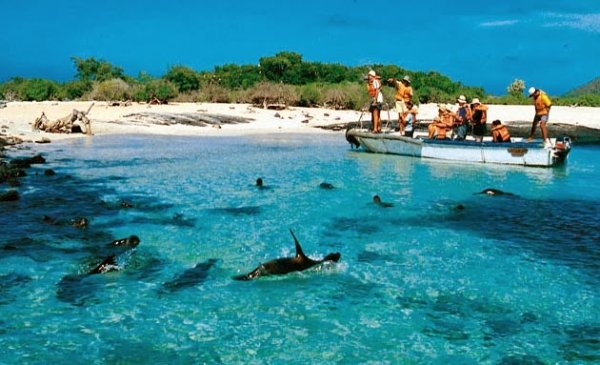 Gardner Bay, Espanola Island, Ecuador