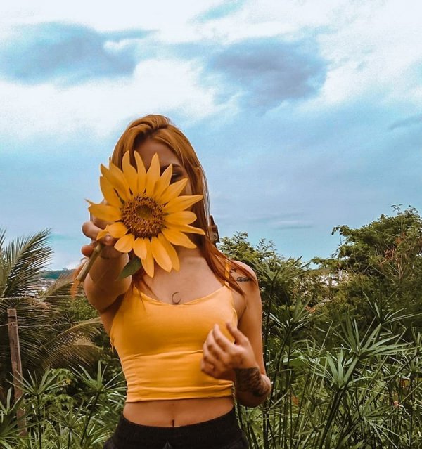 sunflower, yellow, flower, plant, grass,