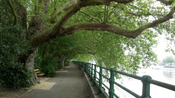 Bishops Park, England (from the Omen)