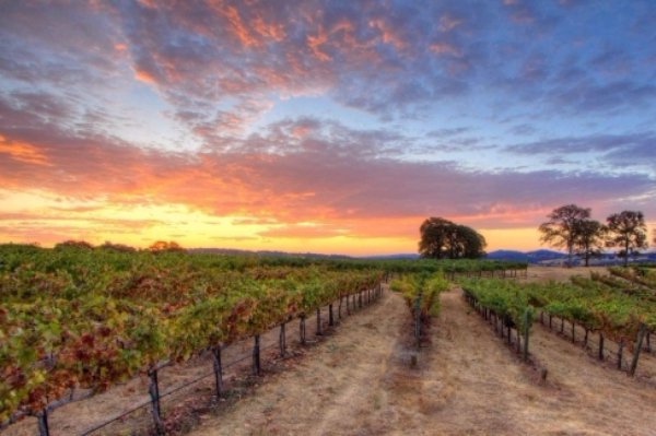 Santa Barbara Wine Country – California