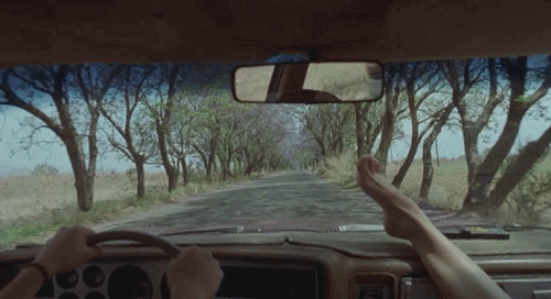 driving, window, screenshot, road trip,