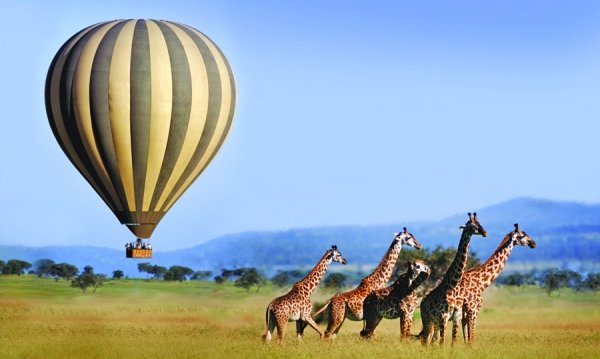 Serengeti, Tanzania