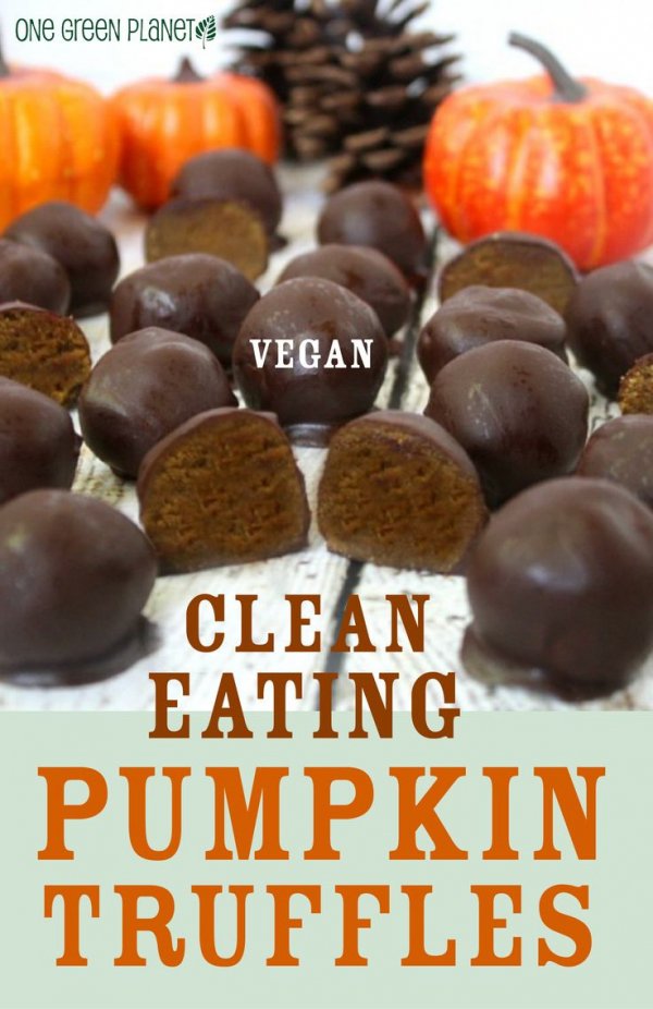 Chocolate Pumpkin Truffles