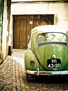 Green Beetle