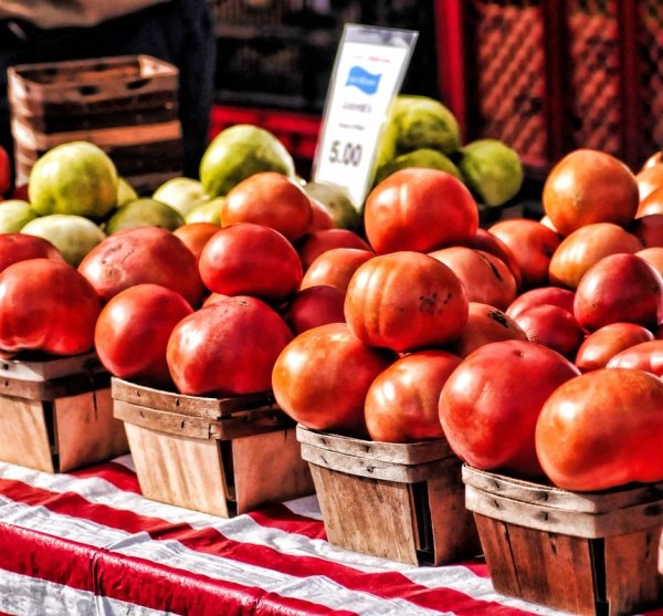 Pittston Tomato Festival