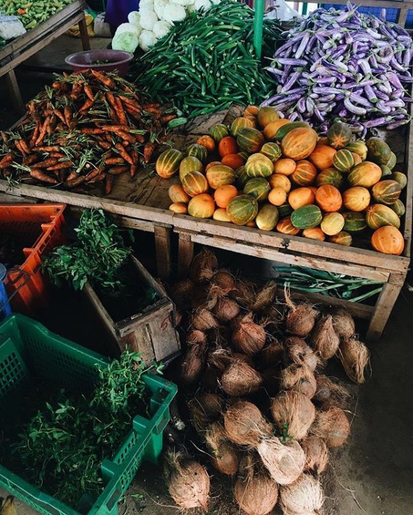 plant, produce, tree, vegetable, flower,