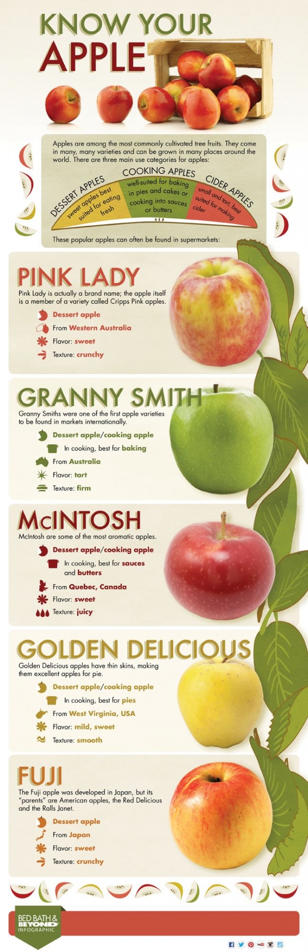 Know Your Apples