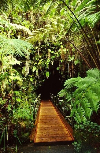 Hawaii Volcanoes National Park