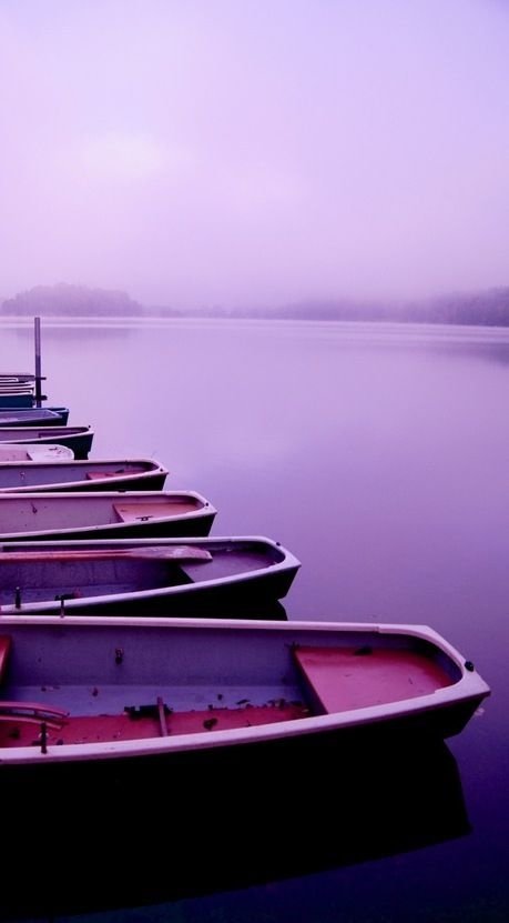 Purple Morning