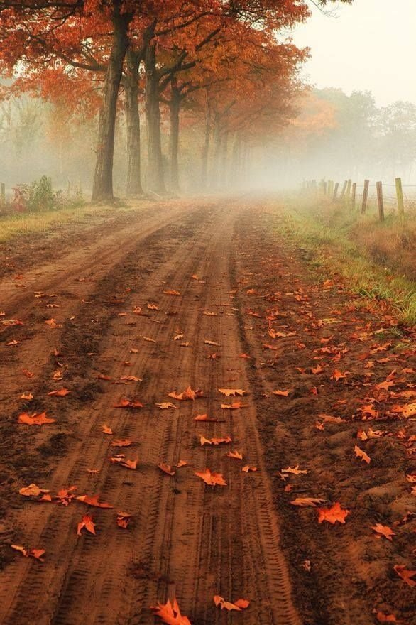 The Old Dirt Road in Belgium