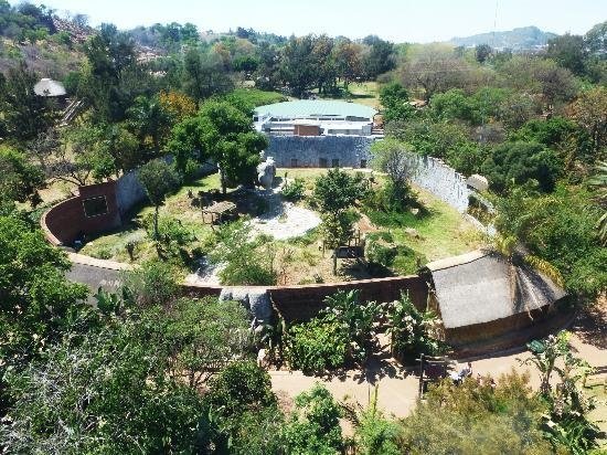 National Zoological Gardens, South Africa