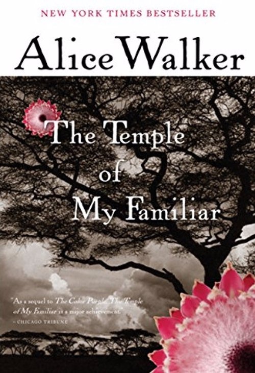 The Temple of My Familiar by Alice Walker