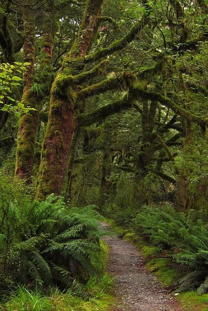 Clinton Valley, Fiordland National Park, New Zealand