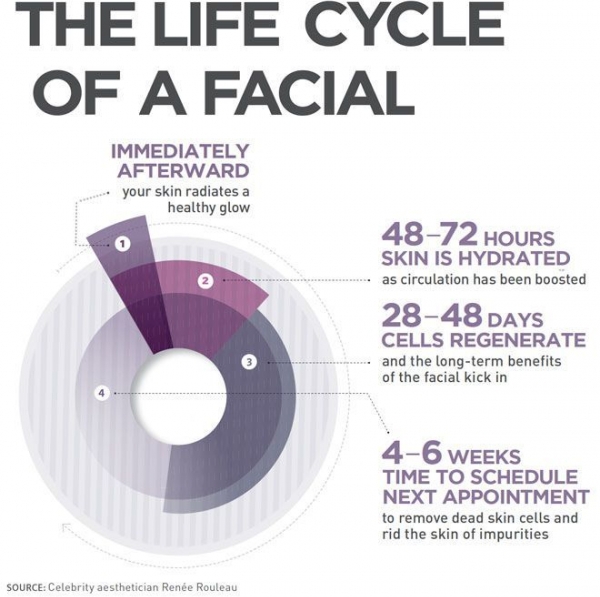 The Life Cycle of a Facial