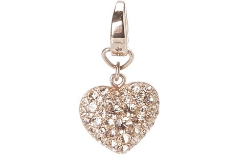 Fossil Heart Charm