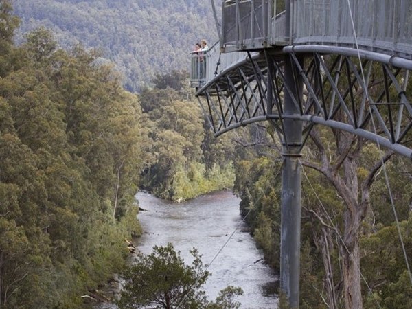 Tahune Forest Airwalk