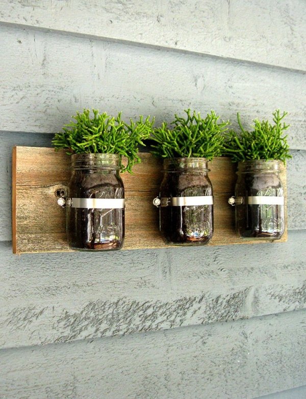 Mason Jar Wall Planters