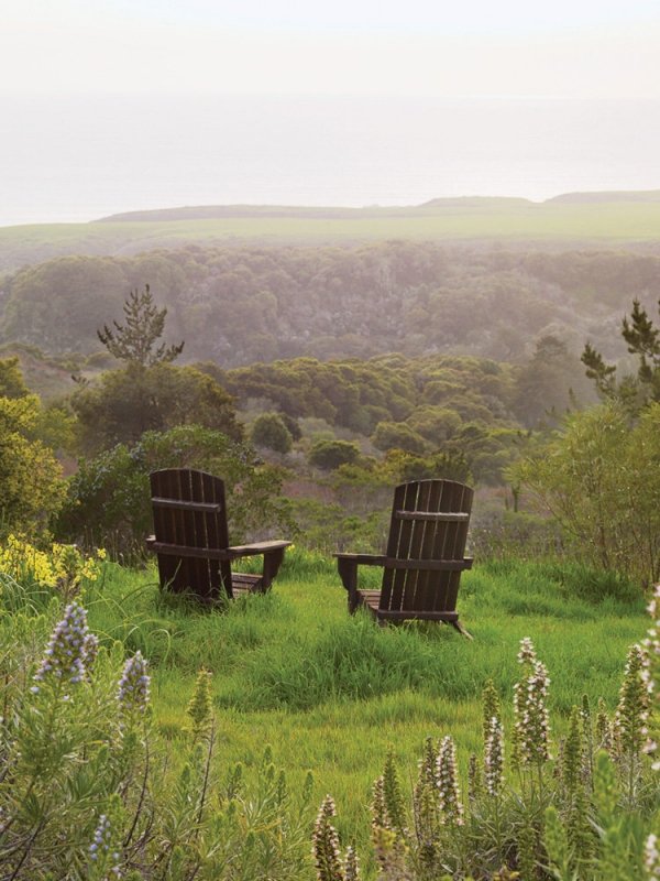 Rustic Chairs