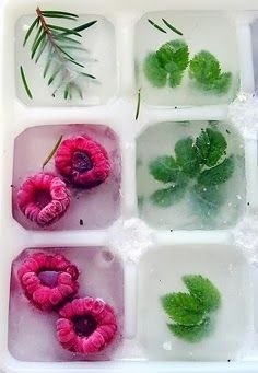 Ice Cubes