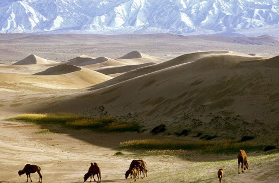 Gurvan Saikhan National Park, Mongolia