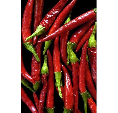 Bird's eye chili, Malagueta pepper, Chili pepper, Tabasco pepper, Serrano pepper,