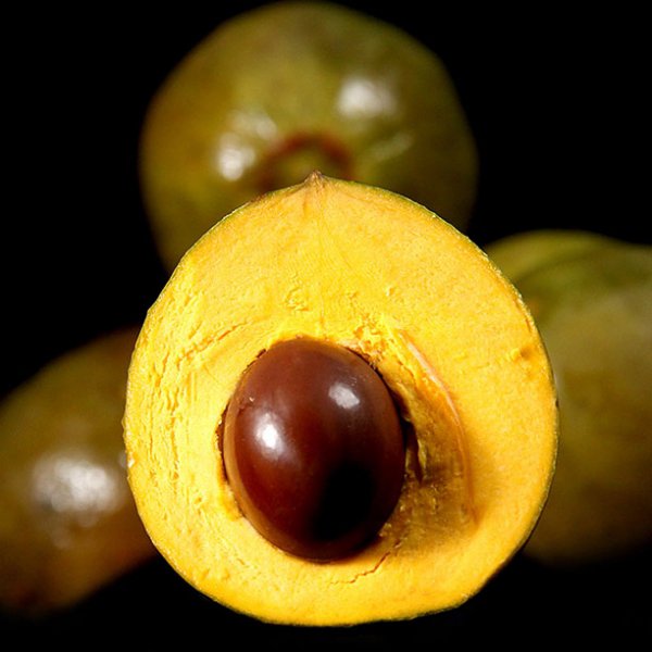 Lucuma