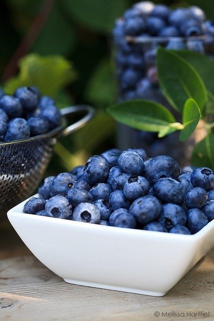 Blueberries