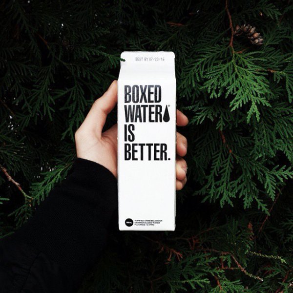 Boxed Water, First Step House, tree, green, plant,