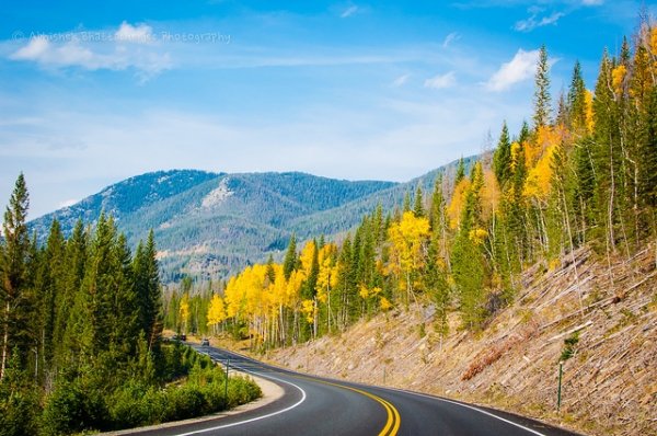 Trail Ridge Road