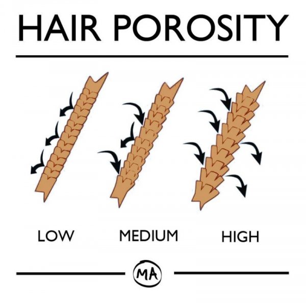 Hair Porosity Test And All You Need To Know About Your Hair Type