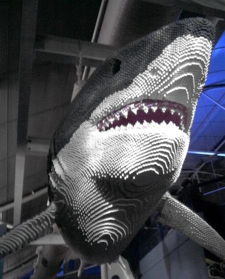 Life Size Shark