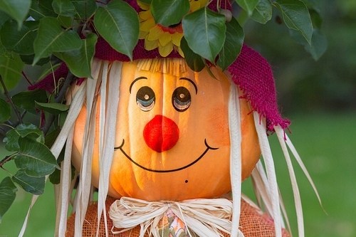 Pumpkin Scarecrow