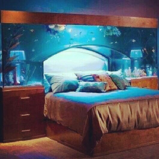 Fish Tank Headboard