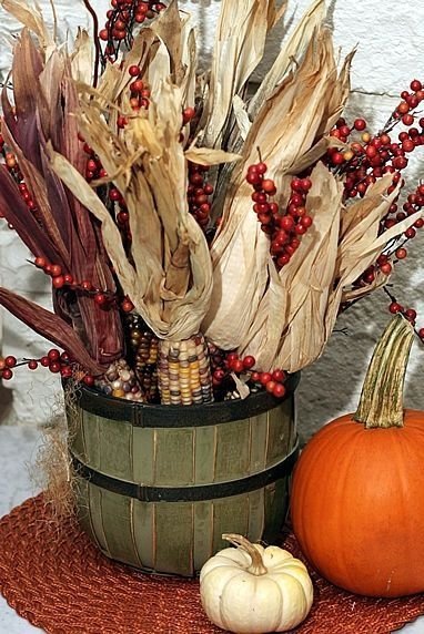 Colored Corn + Stalks