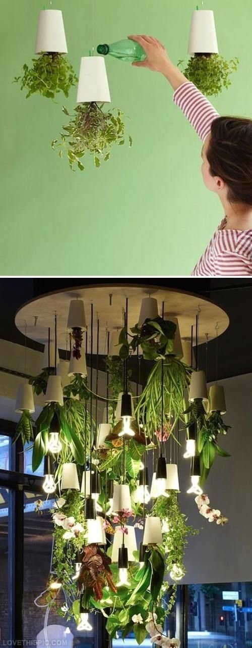 Upside down Herb Garden