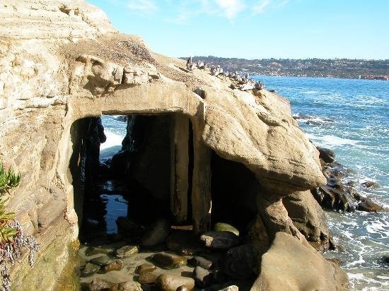 La Jolla Cove