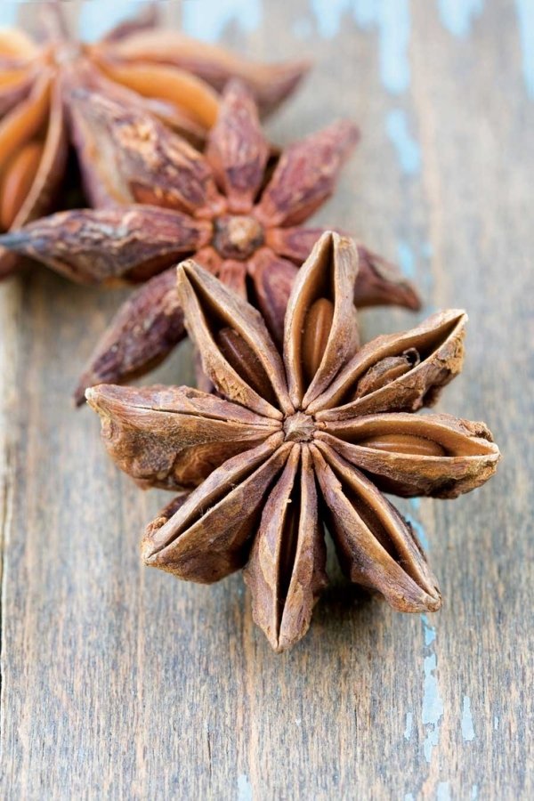 Anise