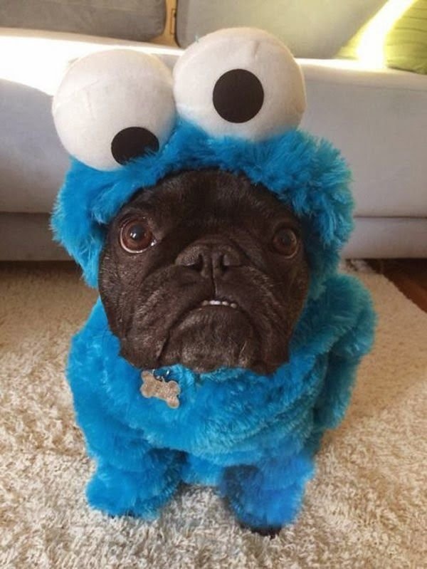 Cookie Monster