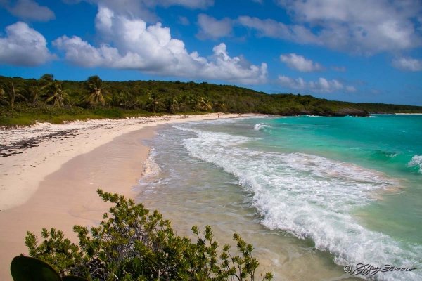 Navio Beach, Vieques, Puerto Rico