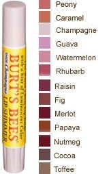 Burt’s Bees Lip Shimmer