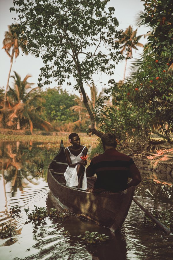 plant, tree, leaf, boat, boating,