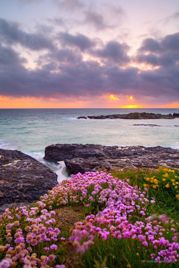 Godrevy Head, Hayle, England